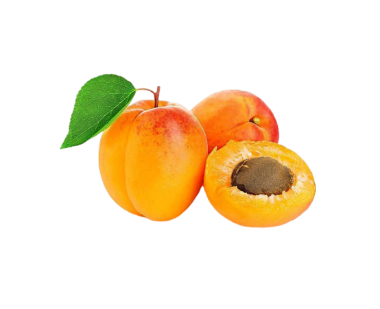 Apricot