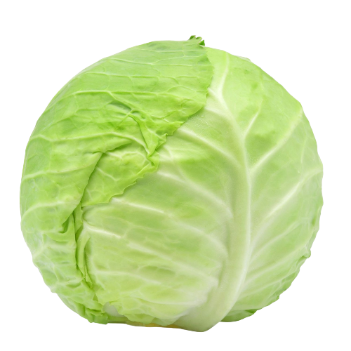 Cabbage