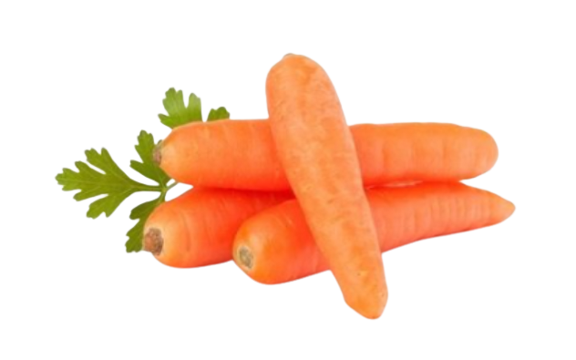 Carrot