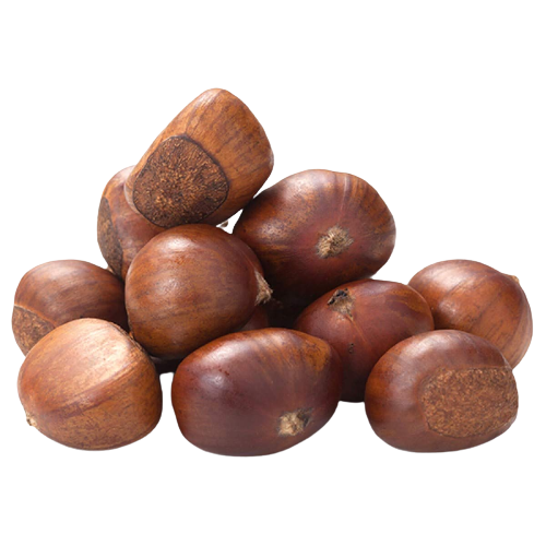 chestnut