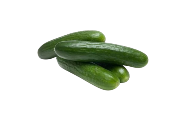 Cucumber