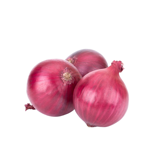 Onion